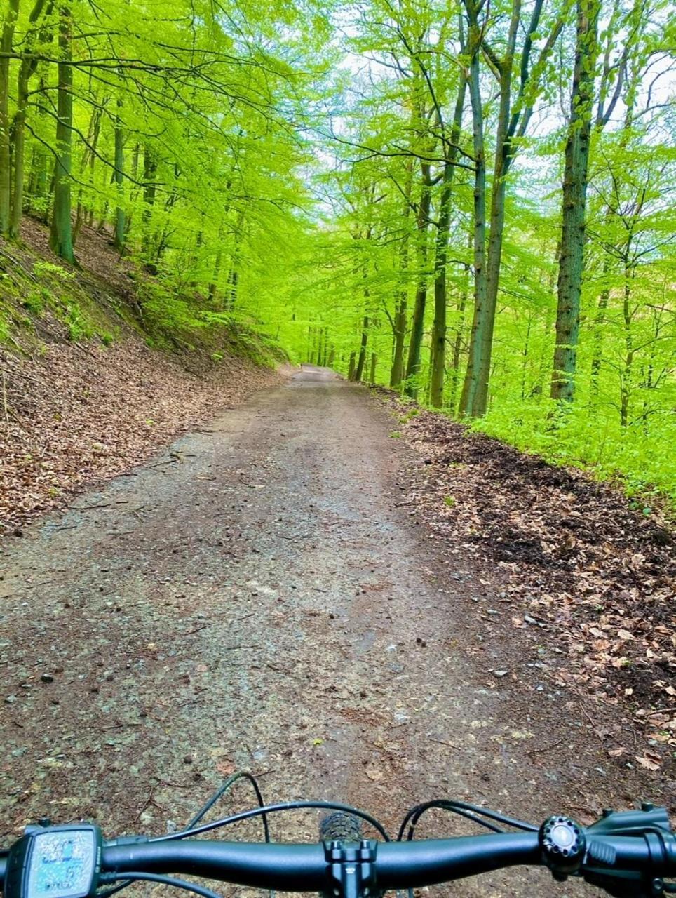 Exklusiver Rueckzugsort Mit Sauna In Der Natur! Nachrodt-Wiblingwerde Bagian luar foto